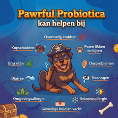 wetenschap